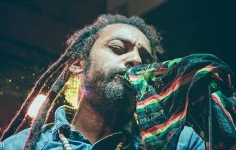 The Marley Experience