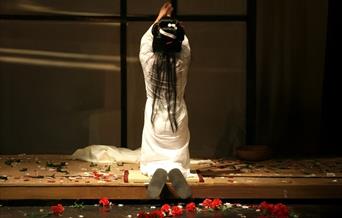 Open Air Opera - Madam Butterfly