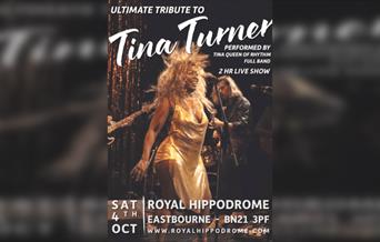 Ultimate Tribute to Tina Turner