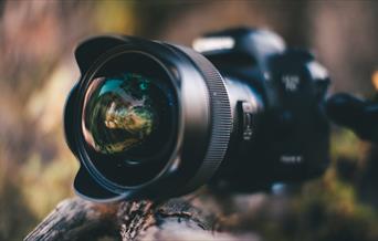 Large camera on wooden branch