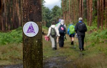 Guided Serpent Trail Walks, Summer 2025