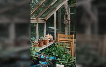 Gardening Basics: Seeds, Bulbs, Annuals and Biennials
