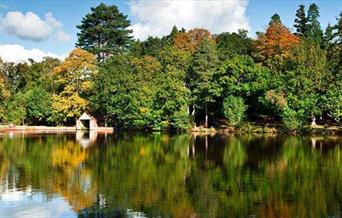 view from across the lake of green and brown leafed trees with blue skies behind
