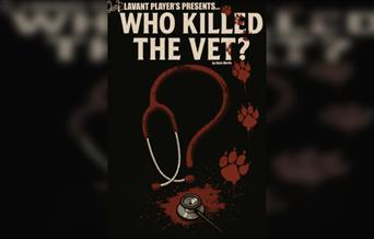 Murder Mystery: Who Killed the Vet?