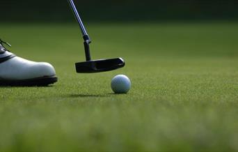 Golf ball and putter on green grass
