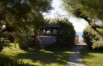 Footpath to the coast with Tamarisk