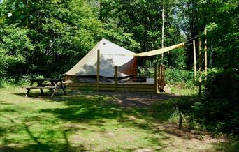 Wild Glamping Tent at Beech Estate Campsite