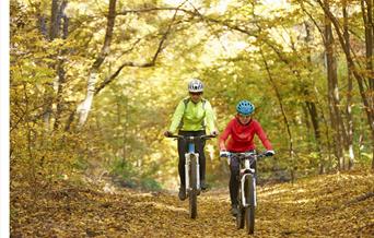 cyclists riding through autumnal trees