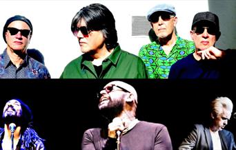 The Blow Monkeys