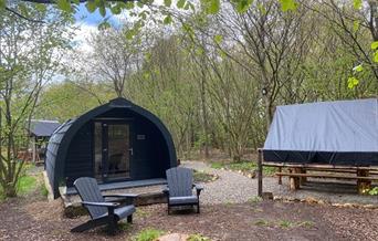 Hazelbank Farm's accommodation pod pictured in the woodland setting