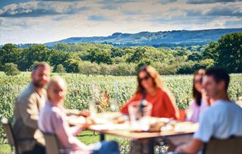guests enjoying a meal and a drink overlooking the South Downs