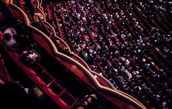 Audience sitting in a performance theatre