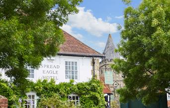 The Spread Eagle Hotel through trees
