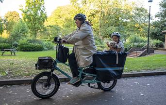 person riding a bicycle with a child in a hamper on the back