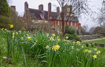 National Trust Standen House and garden with daffodils