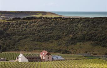 Flint Barns Bed and Breakfast in the South Downs with vineyard views