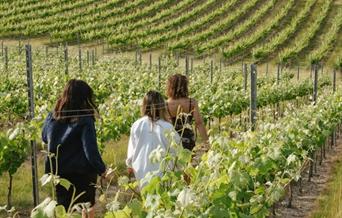 three people walking on a vineyard tour