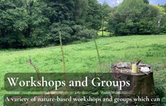 graphic with image of green meadow and trees and the words Workshops and groups. A variety of nature based workshops for teambuilding and company well