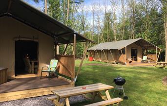 Worth Forest Glamping