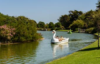 Swan shaped pedal boat on Mewsbrook lake