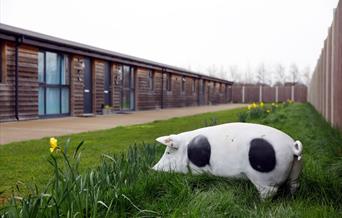 View of Piglets accommodation terrace of 4