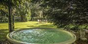 Eagles Nest garden