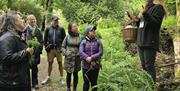 Talking about wild food