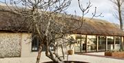 Barn exterior with fig tree