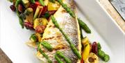 image of a long dish with a fillet of grilled fish on a bed of vegetables