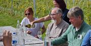 Wine Tasting in the vineyard