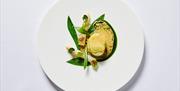 Michelin Starred Food