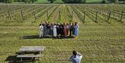 Enjoying an English Vineyard