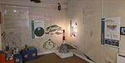 The Lighthouse Room
