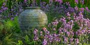 Terracotta pot in informal country garden border