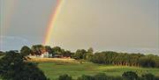 Black Horse under rainbow