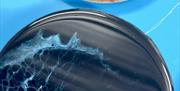 oceanic woodstore resin coaster class