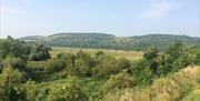 South Downs Stay Coming Soon