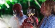 Vineyard and winery tour and tasting oxney