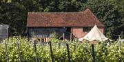 The winery at oxney