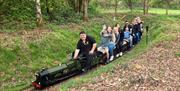 people riding a minature train