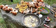 Wild mushroom feast