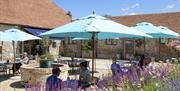 Umbrellas at a restaurant|Wiston Wine and pudding
