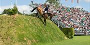 horse and rider in an event coming down a steep slope with spectators in the background