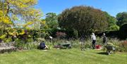 gardening at merriments gardens
