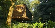Looking Glass Lodge viewed on arrival