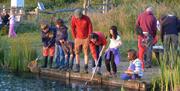 children and families with nets by the water's edge