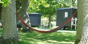 A hammock tied between two trees