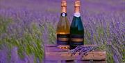 two bottles of sparkling wine presented in a field of purple flowers