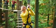 Children climbing on Go Ape treetop course holding on to ropes