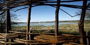 view across the wetlands from the hide
